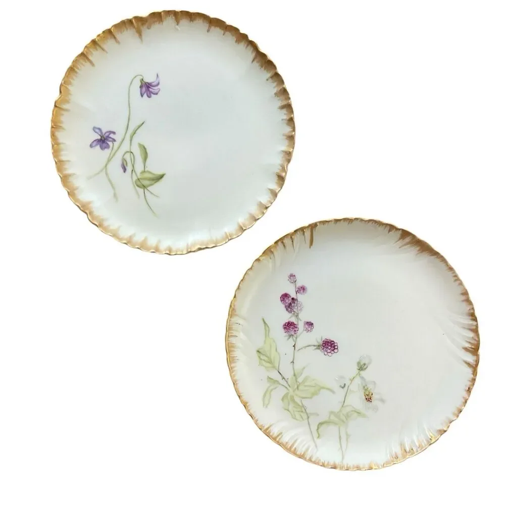 Haviland 1870-1890 Decorative Floral Plates France 7” Set of 2